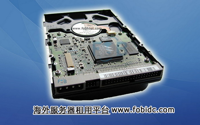 南非服务器：企业数字教育转型的利器